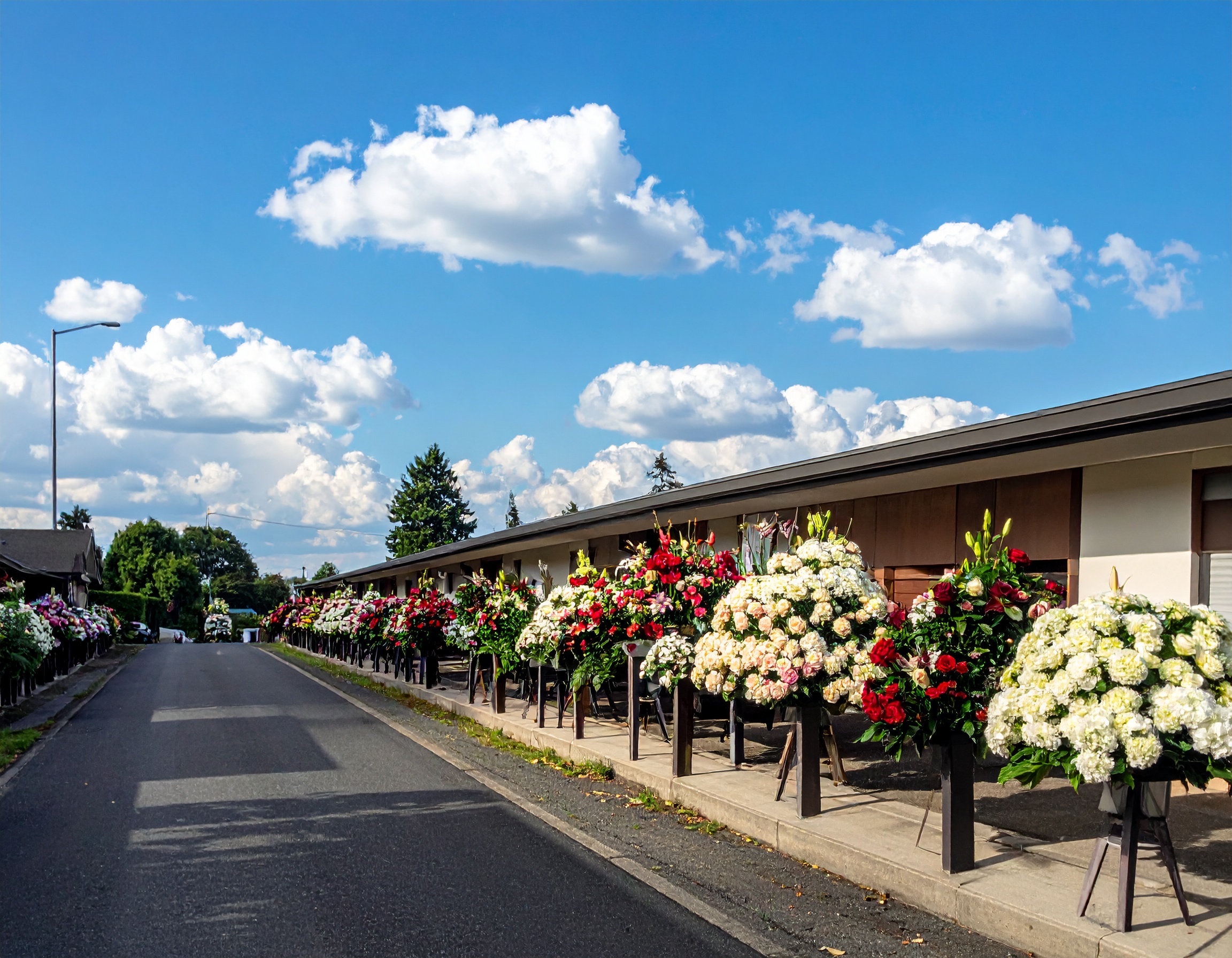 葬儀スライドショー無料作成！ロゴなし高品質PCソフト厳選